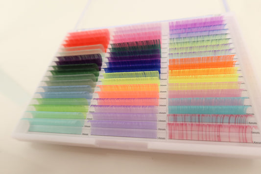 XL Fairy’s Pallette